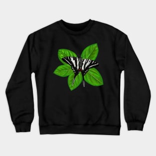 Zebra Swallowtail Butterfly Illustration Crewneck Sweatshirt